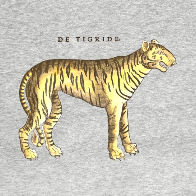 Renaissance Zoology Gessner's Tiger by Pixelchicken